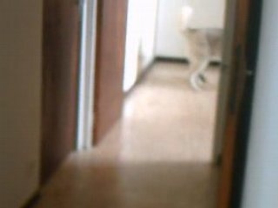CLIP0007