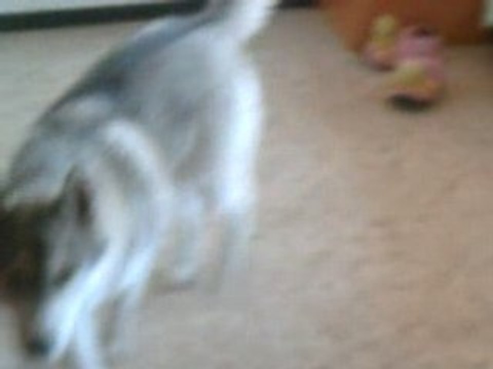 CLIP0010