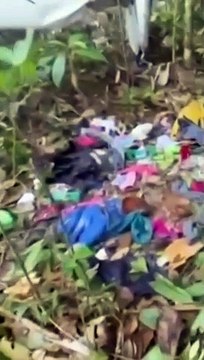 4 ENFANTS ONT SURVÉCU PENDANT 40 JOURS APRÈS UN CRASH D’AVION DANS LA JUNGLE EN COLOMBIE