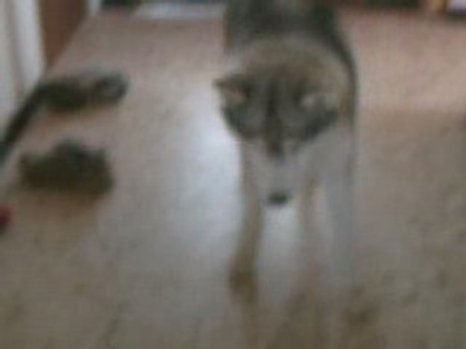 CLIP0015