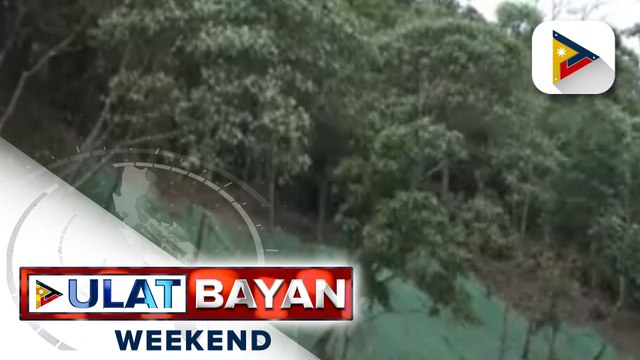 1M tree planting, isinagawa sa isang barangay sa Infanta, Quezon, dahil sa panganib ng landslides