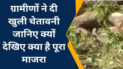 मंडला: अवैध रूप से काटे गए पेड़,वन विभाग बना अनजान