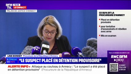 Attaque au couteau à Annecy: le suspect "a refusé de s'exprimer tout au long de sa garde à vue", explique la procureure
