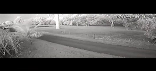 Vídeo do Acidente Fatal com Tratorista na PR-364 em Palotina 🚧