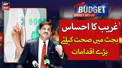 Budget 2023-24: Rs20 billion allocated for health services