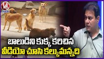 Minister KTR Emotional Words About Street Dog Bites Boy Incident | V6 News