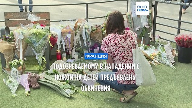 Напавшему с ножом на детей в Анси предъявлено обвинение в покушении на убийство