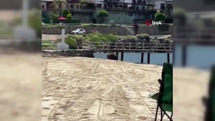 Bodrum'da Domuzlar Sahili Bastı