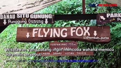 Pacu Adrenalin dengan Flying Fox Terpanjang se-Indonesia di Kawasan Wisata Situ Gunung Sukabumi