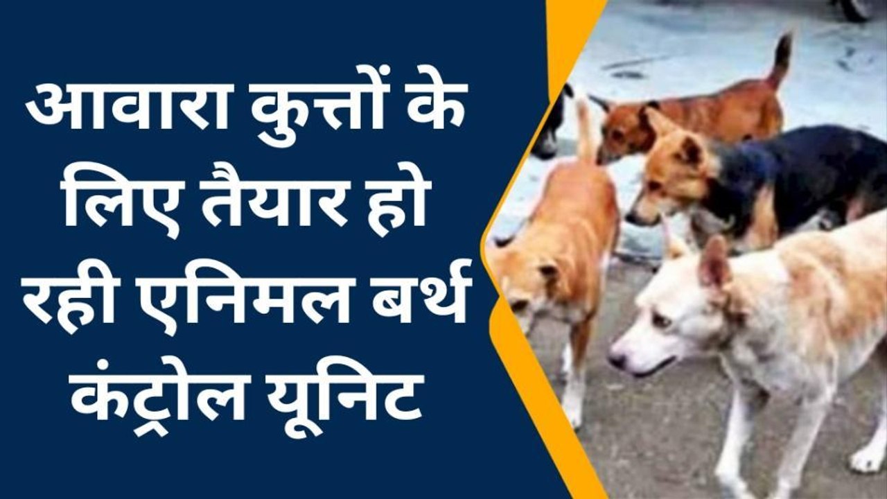 अयोध्या: नगर वासियों को जल्द मिलेगी आवारा कुत्तों से निजात, जानिए क्या है प्लान