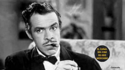 ⭐“ERA COMO UN TIGRE”: LYN MAY Reveló lo que Vivió con TIN TAN en la Intimidad⭐