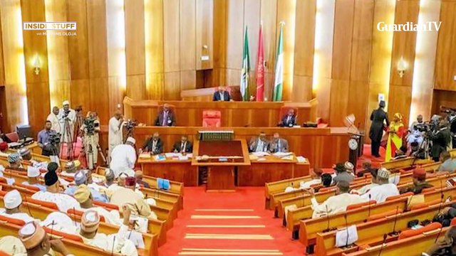 NASS Leadership election and it's consequences | Inside Stuff