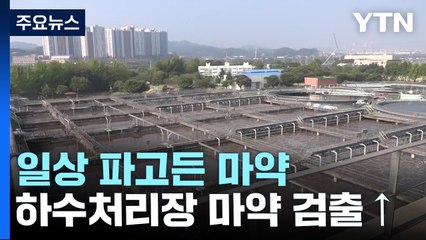 생활 하수가 말해주는 마약의 일상화...갈수록 심각 / YTN