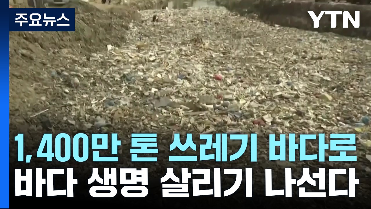 연간 1,400만 톤 쓰레기가 바다로...그래도 살리자 '바키타 돌고래' / YTN
