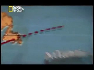 وثائقي - لغز تشارلز ليندبرج - سلسلة احاجي التاريخ - تاريخي