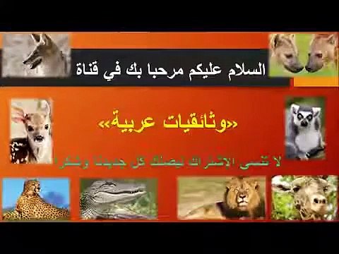 وثائقي - لغز البحث عن الكائنات الفضائية - ناشيونال جيوغرافيك