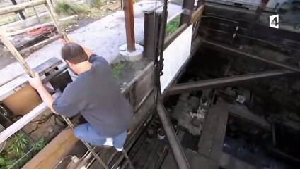 Smilodon VS thylacosmilus - ZAPPING SAUVAGE