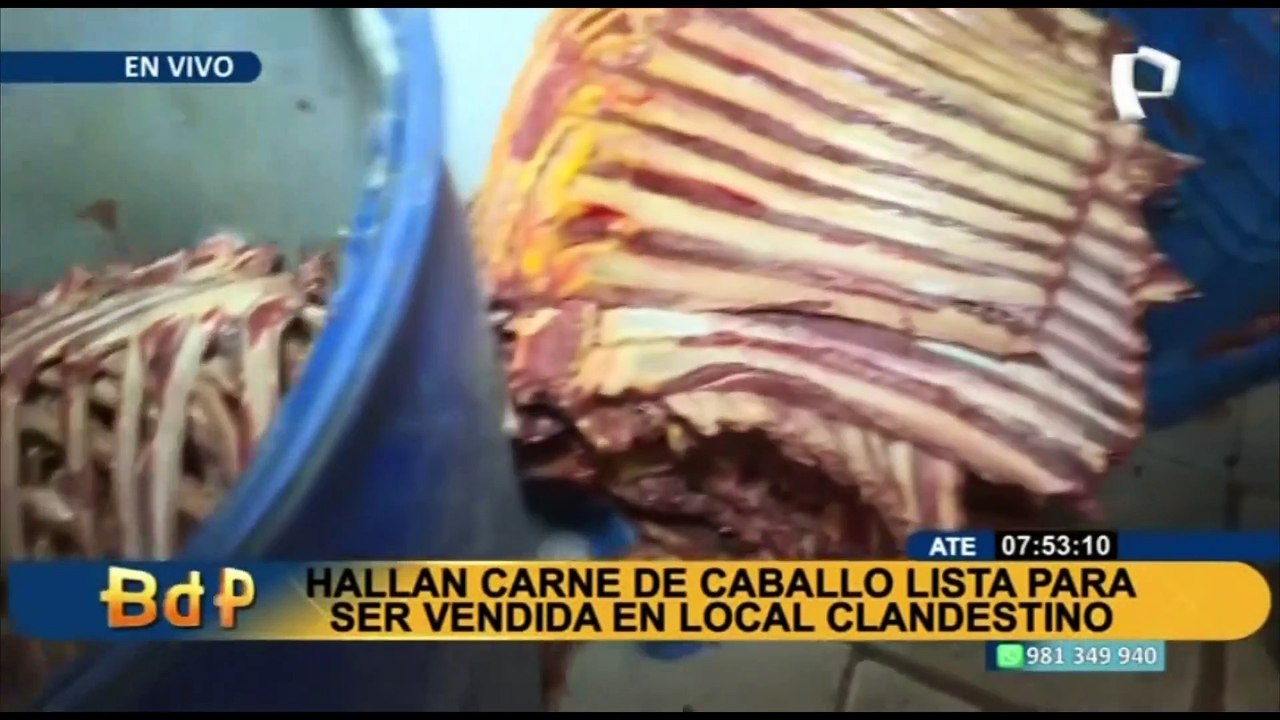 Descuartizaban caballos y vendían su carne en pésimas condiciones: intervienen camal clandestino en Ate