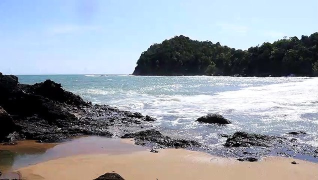Free Nature Footage | hot tropical beach | No Edit, No Cut, No Loop, No Copyright Video| Background Video | Royalty Free Video | Follow To Get Updates Everyday {0003}