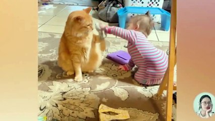 FUNNY BABIES WITH CATS