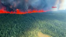 Kanada'da Orman Yangını: Edson Kasabası Tahliye Ediliyor