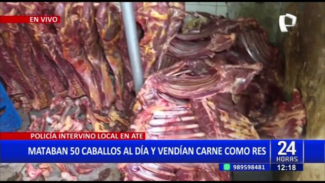 Ate: camal clandestino sacrificaba 50 caballos al día para vender su carne en mercados de Lima