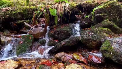 "Bien-être" Eau petite chute - Relaxation détente