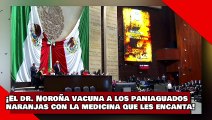 ¡VEAN! ¡El dr. Noroña vacuna a los paniaguados naranjas con la medicina que tanto les encanta!