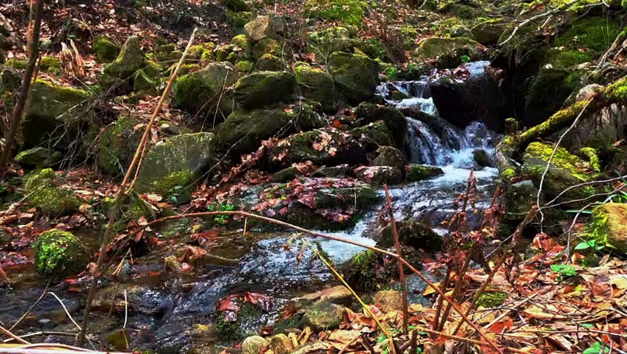 "Bien-être" Eau ruisseau 5K - Relaxation détente