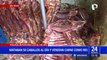 Ate: camal clandestino sacrificaba 50 caballos al día para vender su carne en mercados de Lima