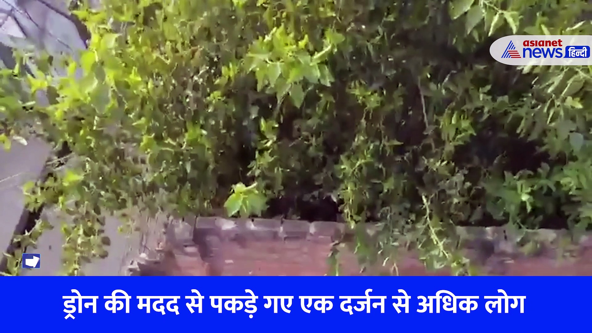 लखनऊ: गेट पर खड़े अधिकारी और ऊपर उड़ रहा ड्रोन, कटियाबाजों का ऐसे हो रहा पक्का इलाज, Video देख हंसने को हो जाएंगे मजबूर