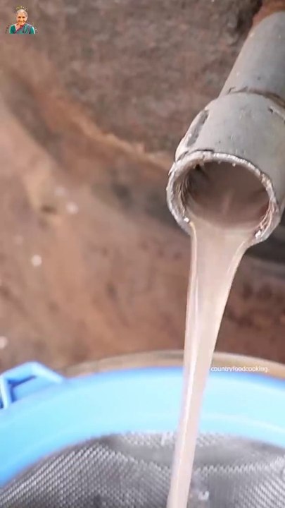 Coconut Oil Extraction