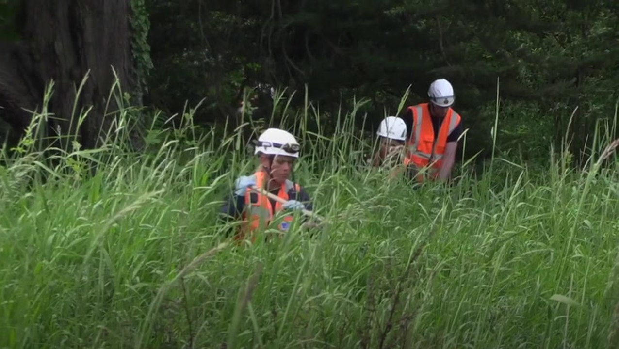 Chloe Mitchell: Second man arrested in search for missing 21-year-old