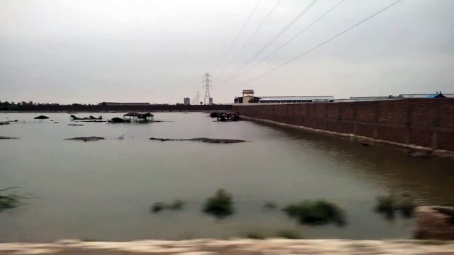 After Rain - Rohri - Khairpur mirs - Sindh pakistan