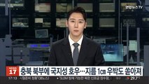 충북 북부에 국지성 호우…지름 1㎝ 우박도 쏟아져