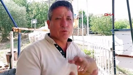 Épine de poisson-lion venimeuse coincée dans le doigt d'un pêcheur à Silifke