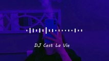 DJ Cest le Vie || Slowed Song || Bass Boosted
