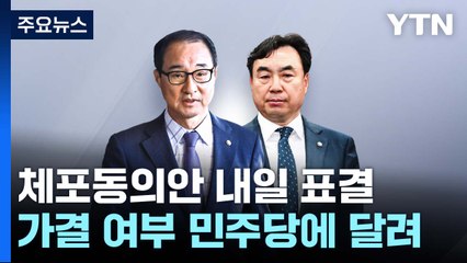 내일 윤관석·이성만 체포안 표결...민주당 내홍 '분수령' / YTN