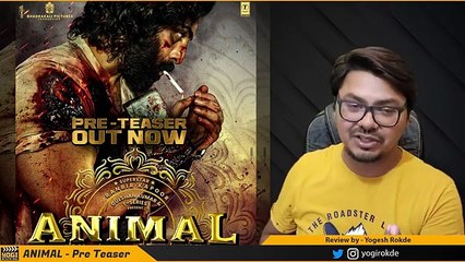Animal Movie PRE-TEASER Review | Yogi Bolta Hai