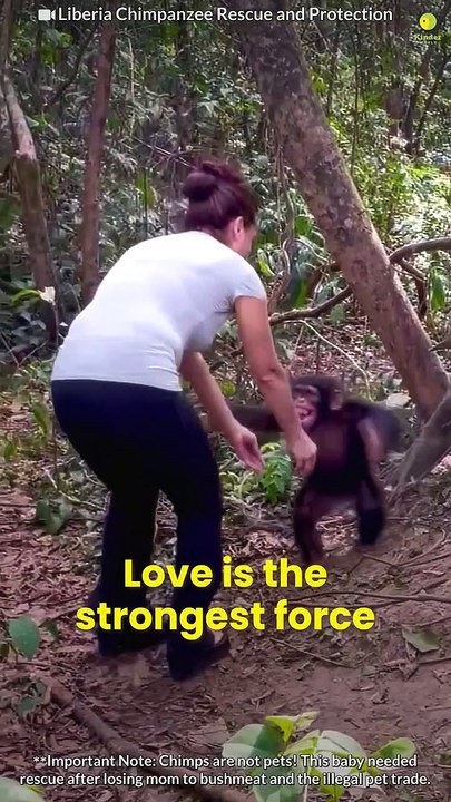 Animals teach us love ❤️(1080P_HD)