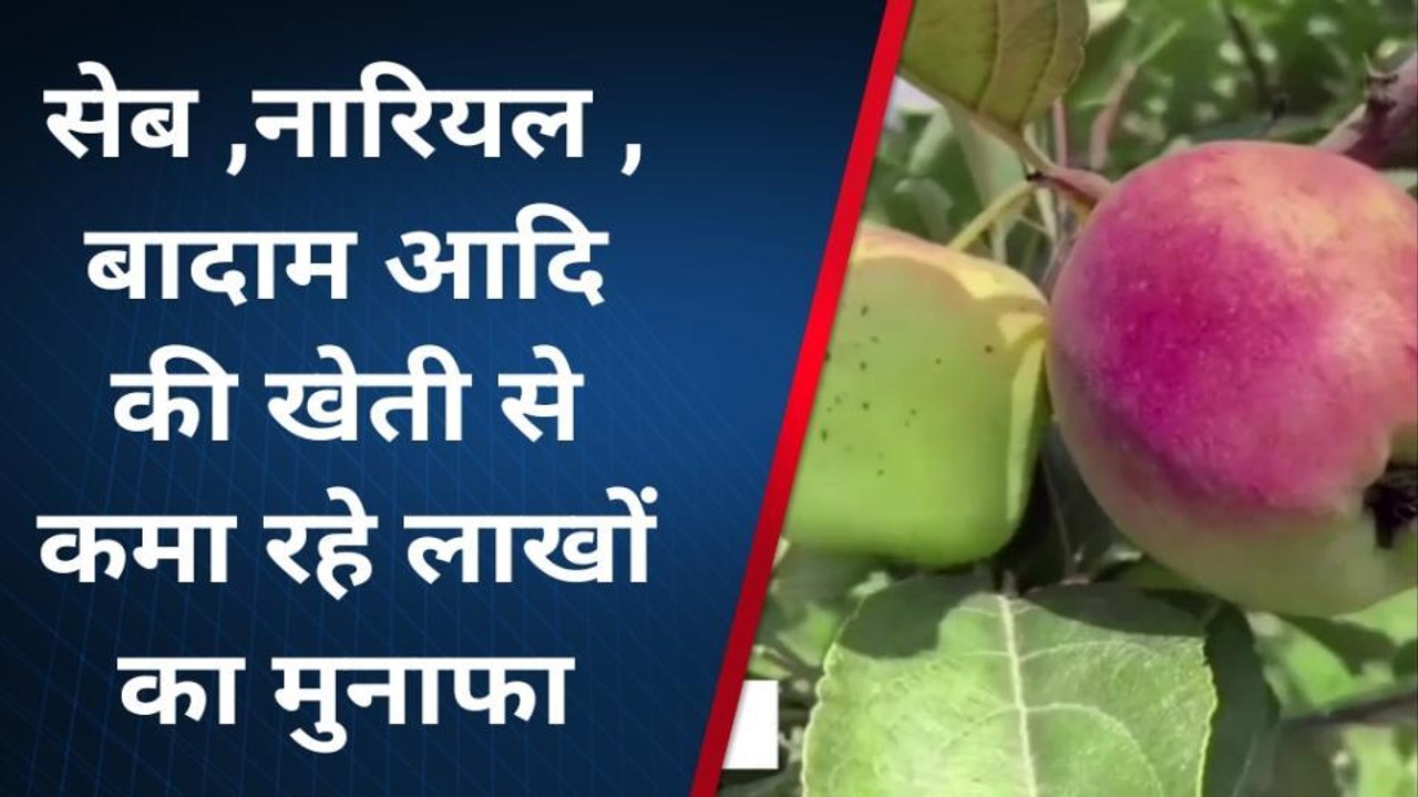 फर्रुखाबाद: सेब व अंजीर की खेती से किया कमाल, लाखों की कमाई