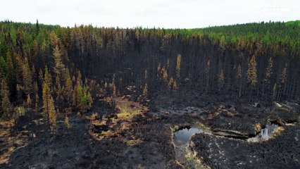 شاهد: حرائق كندا لهيب مستعر وتوقع باستمرارها للصيف.. النيران التهمت نحو 4.5 مليون هكتار