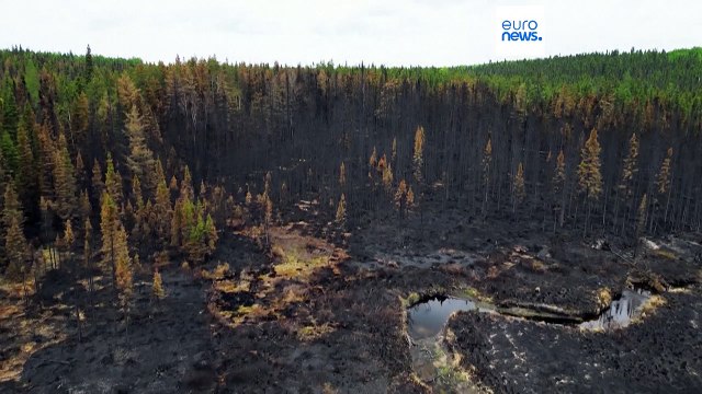 Ancora 416 incendi, di cui 203 fuori controllo : Canada allo stremo