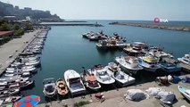 Zonguldaklı balıkçıların ağına zehirli trakonya takıldı