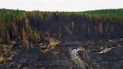 رجال الإطفاء الفرنسيون يستعدون لمكافحة الحرائق الكندية