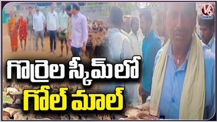 Yadav's Protest Against To BRS MLA Shankar Naik For Sheep Distribution _ Mahabubabad _ V6 News