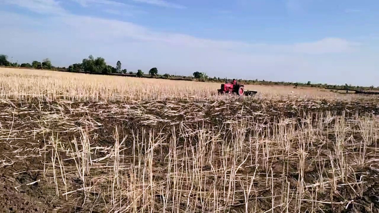 भीषण गर्मी के बीच खेतों की सार संभाल में जुटे ध...