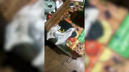 Disparos de arma de fogo atingem cozinha de residência no Universitário