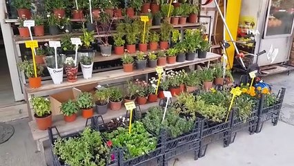 Un magasin vendant des produits agricoles à Karabuk a été attaqué