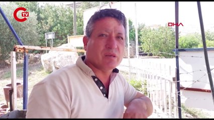 BALIKÇININ ELİNE ZEHİRLİ ASLAN BALIĞI DİKENİ BATTI, UZMAN UYARDI